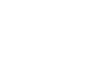 Ac n wilson success Life Coach logo.