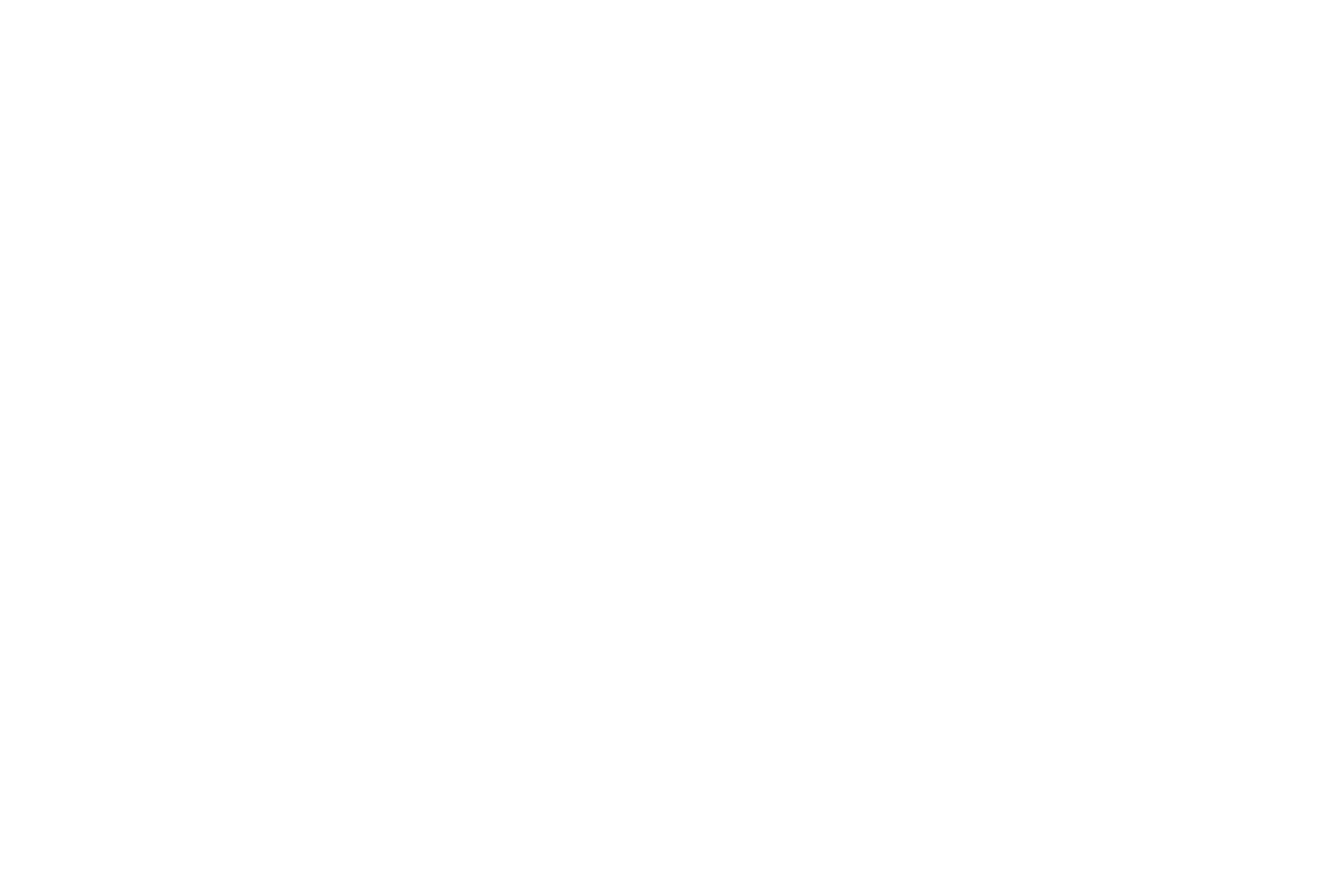 Ac n wilson success Life Coach logo.
